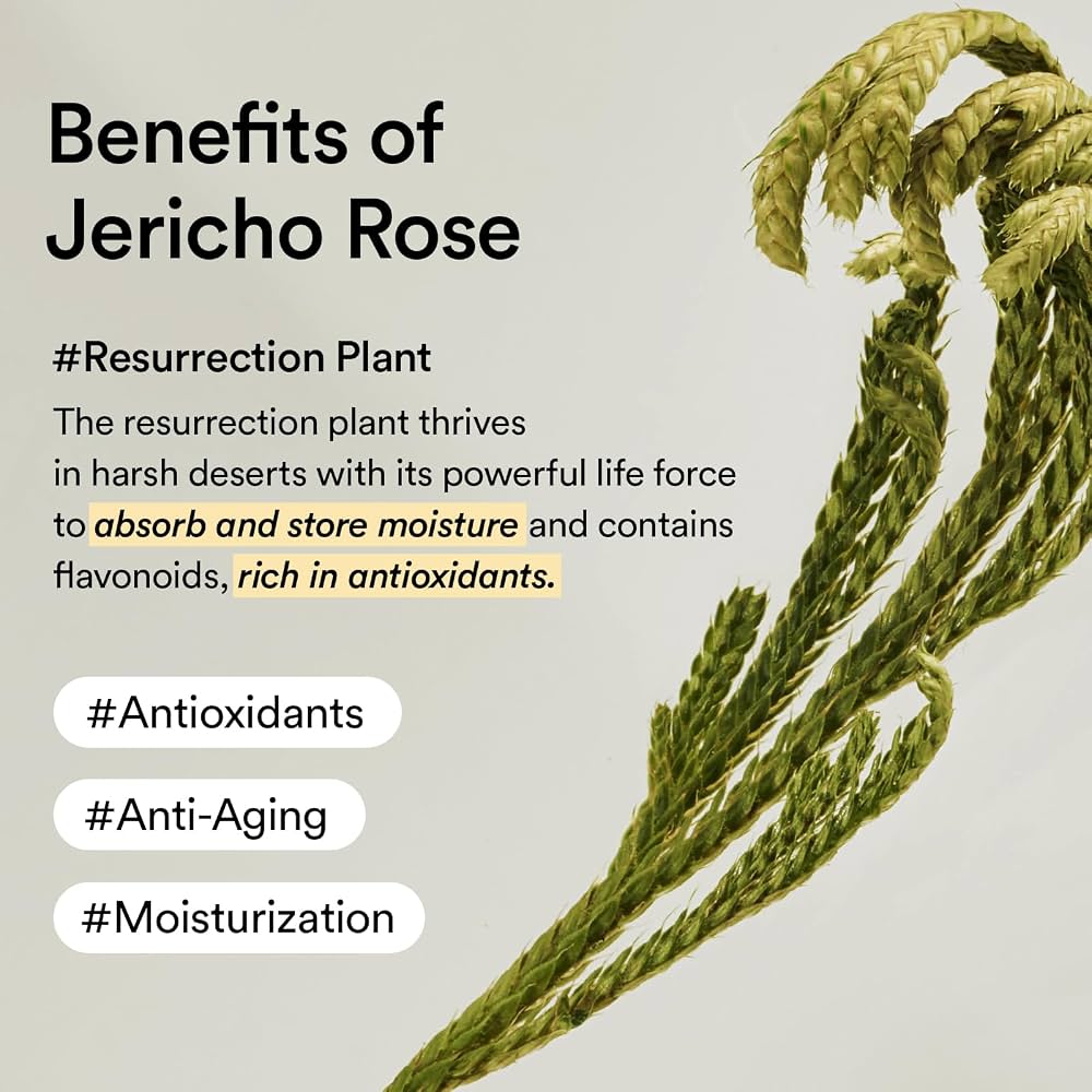 Abib Jericho Rose Cream 2.53 fl oz, Moisturizer for Dry and Aging Skin, Korean Skincare 75 ml