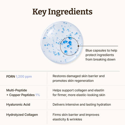 Dr.Reju-All Advanced PDRN Copper Peptide Serum – GHK-Cu with PDRN Serum for Face – Copper Peptides for Firming & Skin Elasticity – with Hyaluronic Acid & Hydrolyzed Collagen Peptides – 1.01 Fl Oz 30 ml ( preorder coming in 2 weeks)