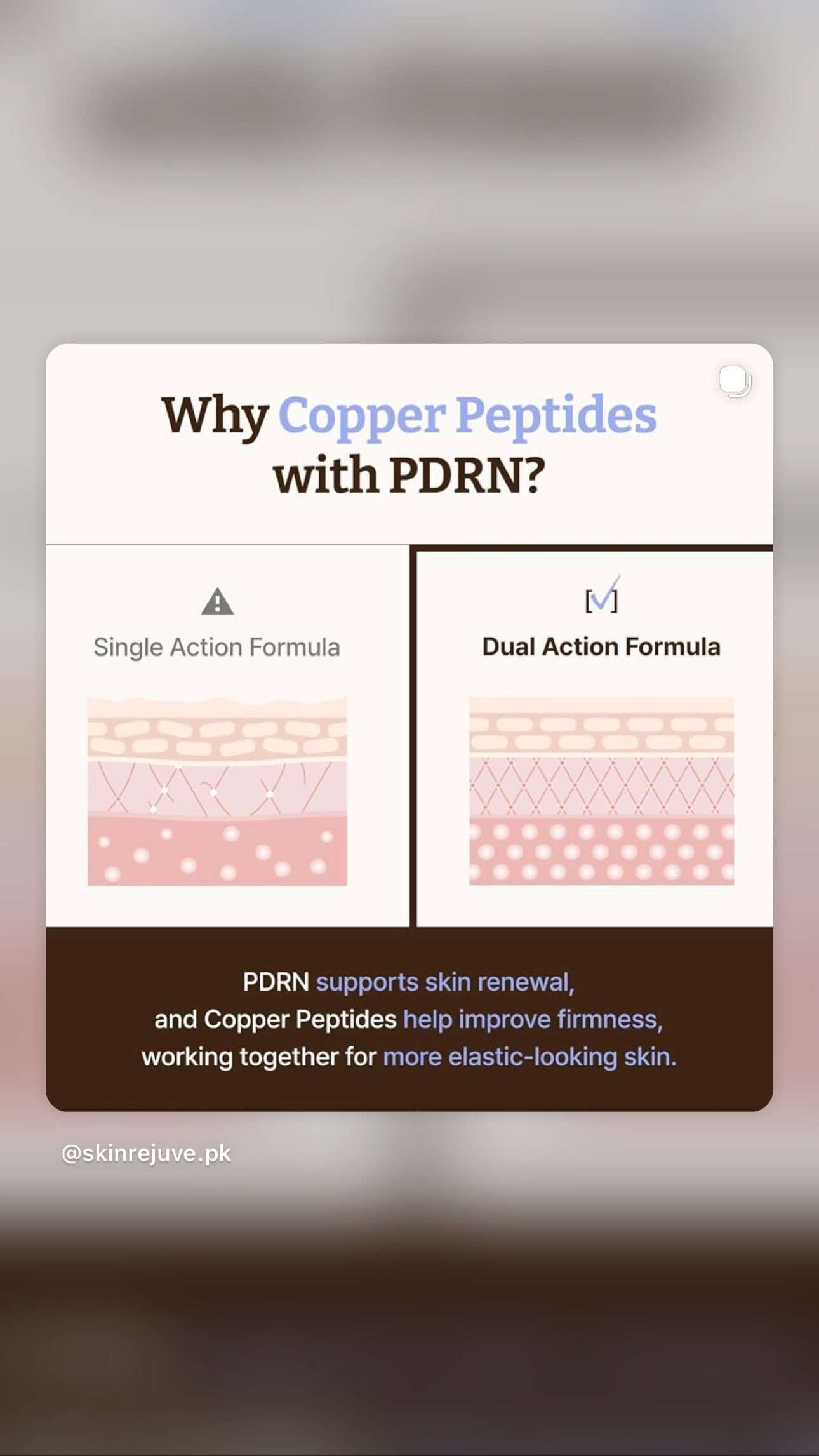 Dr.Reju-All Advanced PDRN Copper Peptide Serum – GHK-Cu with PDRN Serum for Face – Copper Peptides for Firming & Skin Elasticity – with Hyaluronic Acid & Hydrolyzed Collagen Peptides – 1.01 Fl Oz 30 ml ( preorder coming in 2 weeks)