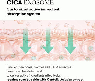 VT COSMETICS PDRN Cica Exosome Ampoule 30 ml