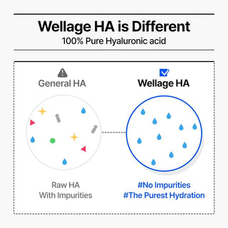 Wellage Real Hyaluronic Blue Ampoule