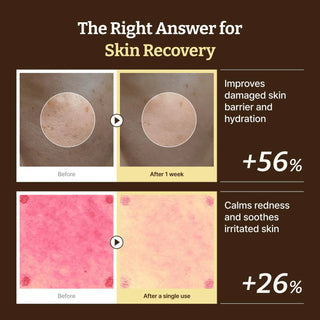 Dr rejual Advanced PDRN Repair Cream 20g