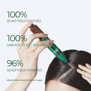 LABO-H Scalp Strengthening Clinic Hairline Ampoule 15ml Double Pack (+Shampoo 50ml)￼ Olive young hair loss set