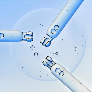 Wellage Real Hyaluronic Blue Ampoule